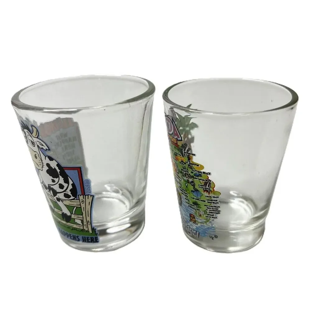Lot of 2 Shot Glass Florida Sunshine State Illinois What Happens Here Stays Here